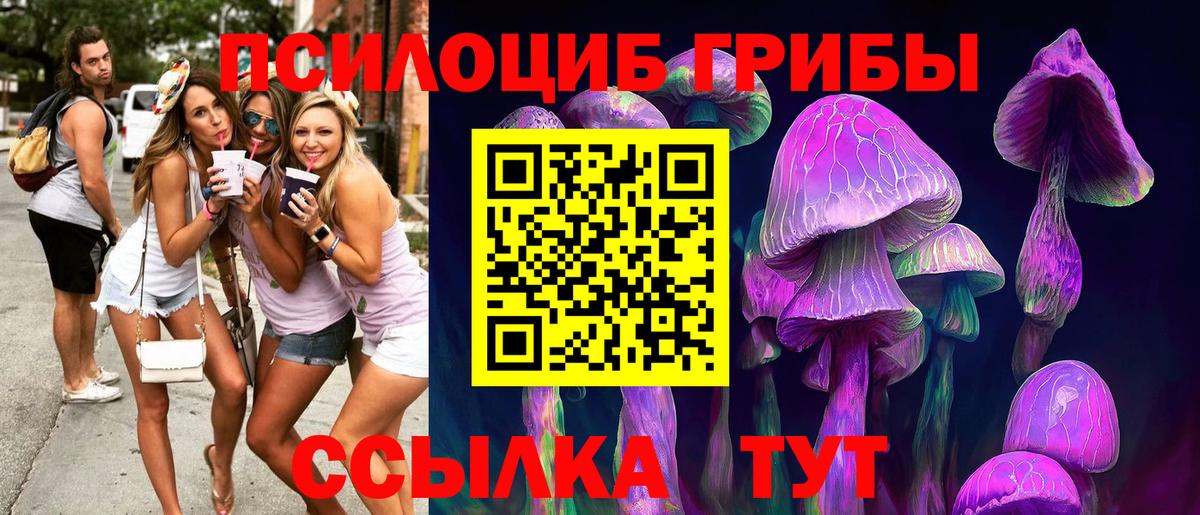 Псилоцибиновые грибы MAGIC MUSHROOMS Сланцы