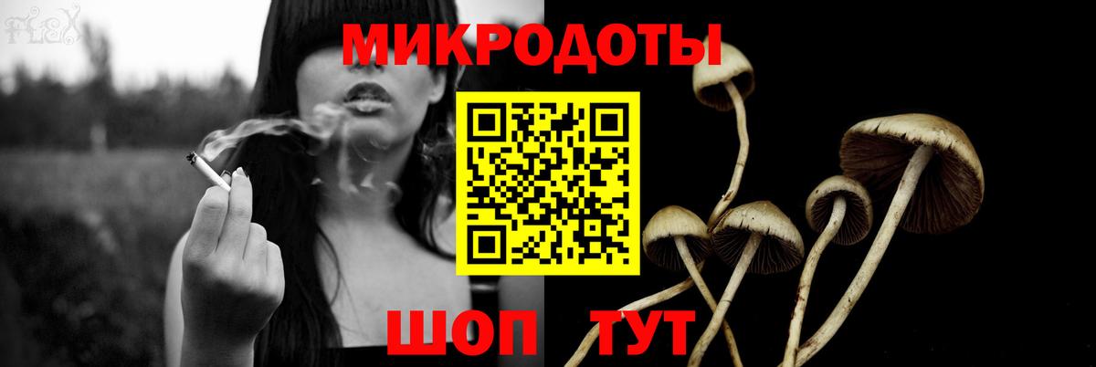 Сланцы  Псилоцибиновые грибы прущие грибы  Псилоцибиновые грибы Cubensis  цена наркотик  Вход с VPN 